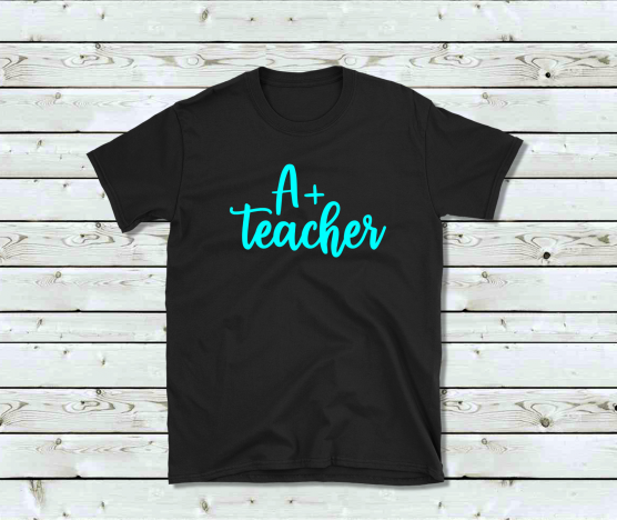 A+ Teacher