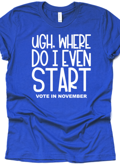 Vote in November